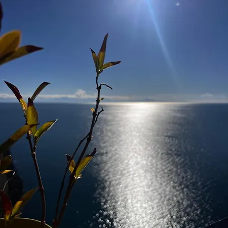 Skyview Paradise House