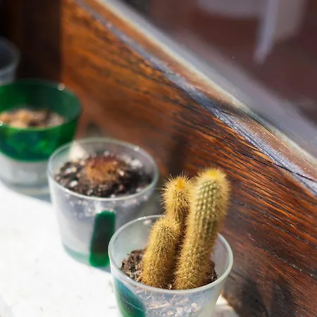 Skyview Paradise House Appartamento