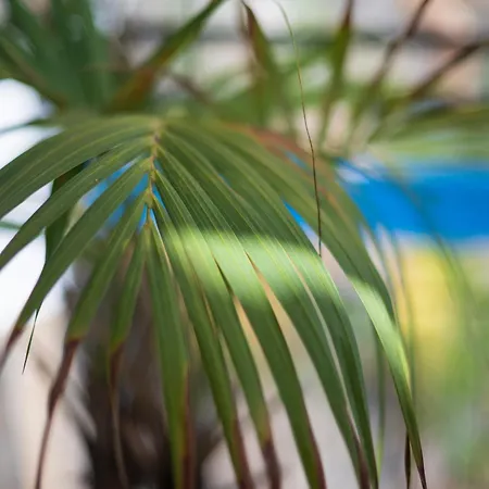 Appartamento Skyview Paradise House